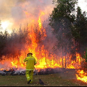 Public Disaster and Private Trauma